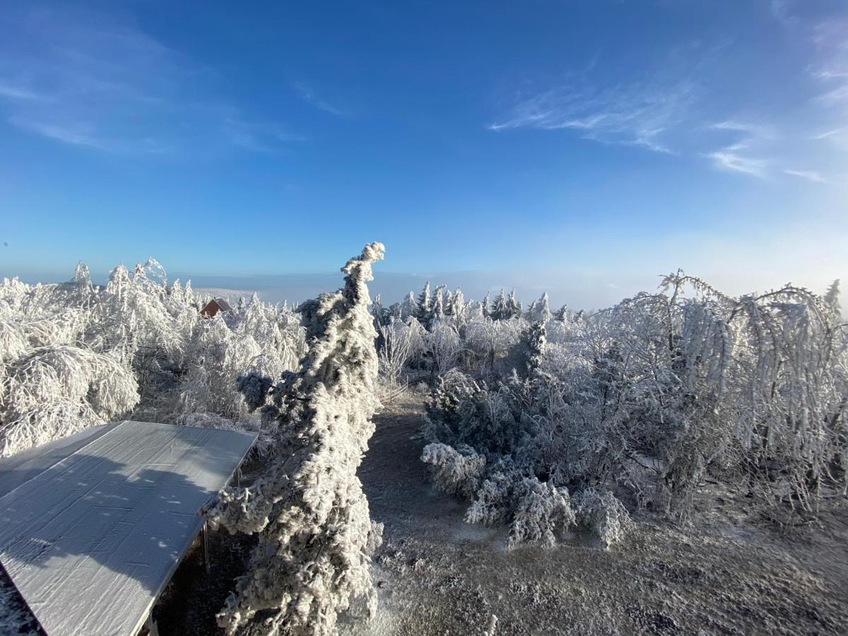 Hotel Lugsteinhof Altenberg  Extérieur photo